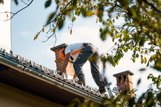 Best Gutter Installation and Roofing  in New Lisbon, WI