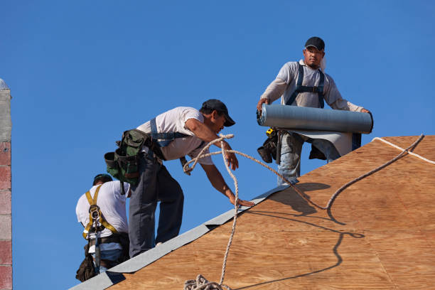 Best Roof Waterproofing Services  in New Lisbon, WI