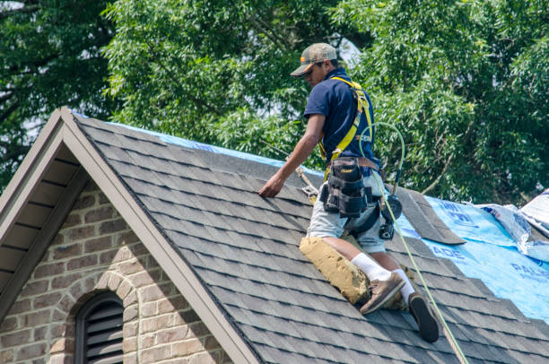 Best Roof Restoration Services  in New Lisbon, WI